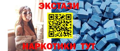 стаф Тара