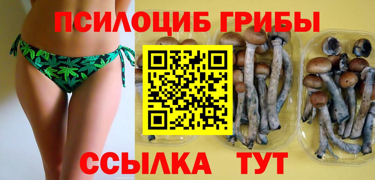 Янаул  Псилоцибиновые грибы Psilocybe  Галлюциногенные грибы MAGIC MUSHROOMS  Вход с VPN 